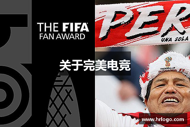 关于完美电竞